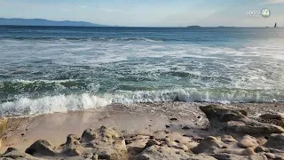 SEMARNAT revokes Las Cocinas beach concession granted to DINE