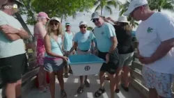 Liberan a dos tortugas marinas en Florida por el Día de la Tierra