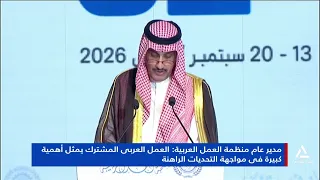 Director-General of the Arab Labor Organization: Joint Arab action is of great importance in faci...