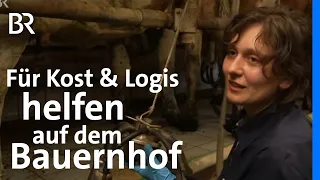 Freiwillig helfen in der Landwirtschaft: "Wwoofen" auf dem Bauernhof | Wir in Bayern | BR