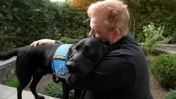 High costs prove a barrier for many people in need of a service dog