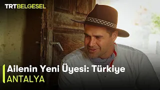 Ailenin Yeni Üyesi: Türkiye | Antalya | TRT Belgesel