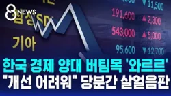 South Korea's two economic pillars crumble.. "Unlikely to improve" skating on thin ice for now / ...