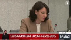 ეკა გიგაური  ნიდერლანდების პარლამენტს დახმარებას სთხოვს