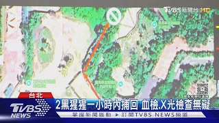 2黑猩猩脫逃驚魂 動物園致歉「人為疏失」｜TVBS新聞 @TVBSNEWS01