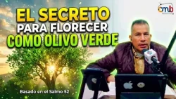 El Secreto para FLORECER en la Tormenta: Sé un Olivo Verde - Pastor Henry Martinez