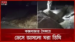 কক্সবাজার সৈকতে ভেসে আসলো মরা তিমি, দুর্গন্ধে দেয়া হলো বালিচাপা | Whale | Cox's Bazar | Somoy TV