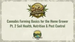 Cannabis Farming Basics for the Home Grower Pt  2  - Soil Health, Nutrition & Pest Control