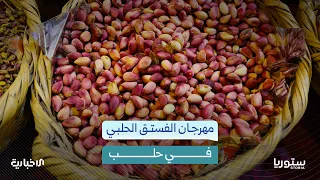 Why was the first Aleppo Pistachio Festival launched in Aleppo?