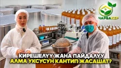 Кирешелүү жана пайдалуу алма уксусун кантип жасашат?