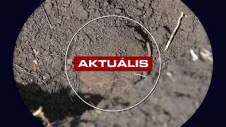 Éles lőszereket és kézigránátot találtak Gyöngyösorosziban – Aktuális 2026. 08. 11.
