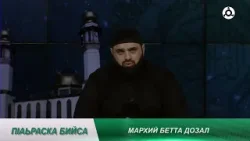 ПIаьраска бийса. Мархий бетта дозал