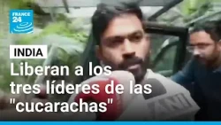 Liberan a los tres líderes del movimiento de las "cucarachas" en India tras casi un día detenidos