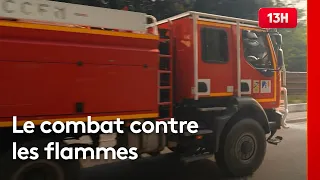 More than 200 hectares ravaged by wildfires in Aude