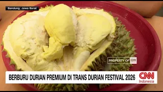 Berburu Durian Premium di Trans Durian Festival 2026