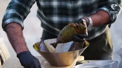 صافي بسكوتي | برنامج نكهات في الشارقة صافي بسكوتي | برنامج نكهات في الشارقة