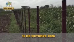 Venezuela Regional News Today - Thursday, October 15, 2026 @VPItv