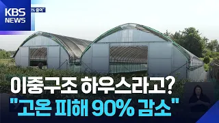 “Ginseng Heat Damage Reduced by 90%”… ‘Double-Structure Greenhouse’ Gains Attention / KBS 08/21/2026