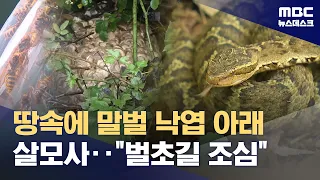 'Yikes' while hiking and tidying ancestral graves… Snake and bee accidents peak in September (09/...