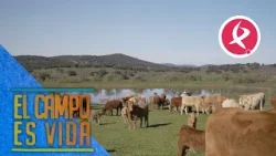 María y Javi organizan todo de cara al futuro | El campo es vida