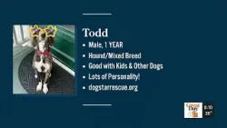 Потеряно и в фунте Потеряно и в фунте