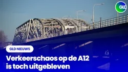 GLD Nieuws 8 april 2026 GLD Nieuws 8 april 2026