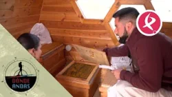 ¿Te atreves a respirar aire de una colmena? | Donde Andas