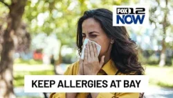 How to keep spring allergy symptoms mild as pollen fills the air
