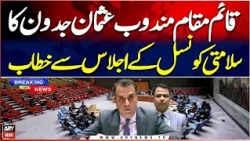 New York: Acting Representative Usman Jadoon Addresses UN Security Council Meeting