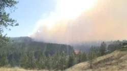 The Wildfire Grant deadline is Sunday!