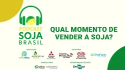 Qual o melhor momento de vender a soja?