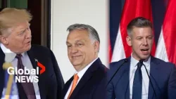 Hungary faces high-stakes election: Trump- and Putin-backed Orbán vs. conservative Péter Magyar Hungary faces high-stakes election: Trump- and Putin-backed Orbán vs. conservative Péter Magyar