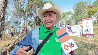 Sembratón 2026 restaura nueve hectáreas con casi 10 mil pinos en la sierra de Tecpan