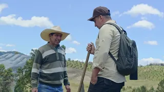 The potatoes that reach thousands of Antioquian homes come from here | The Countryside according ...