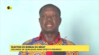 Election of the Senate Bureau: Perspectives from Analysts in Parakou