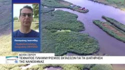 Δέλτα Έβρου - Παρεμβάσεις για την προστασία της νανόχηνας