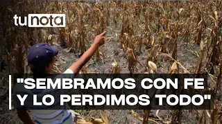 Alcaldes del sur y oriente reportan pérdida total de cosechas y advierten sobre hambruna inminente