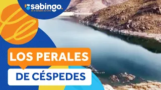 4718004 PERALES DE CESPEDES DIGITAL VILLAGE