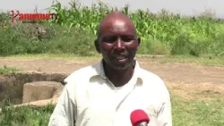 Arimi a mucere thikimu-ini ya Mwea kuria thirikari irikie tabarira ya mitaro