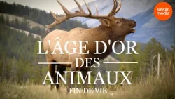 L'âge d'or des animaux - La fin de vie : bande-annonce