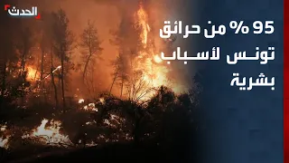 Al-Hadath Correspondent: 95% of Fires in Tunisia Are Caused by Human Activity