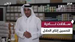 Importing Rare Breeds to Improve Livestock and Enhance Production in Qatar | Marah