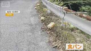 Loaves of Bread Dumped at Hakuto Coast Too: Found Near National Highway, Witness Says "It Looked ...