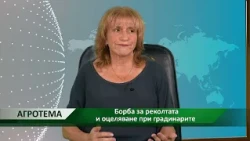 Агротема: Борба за реколтата и оцеляване при градинарите