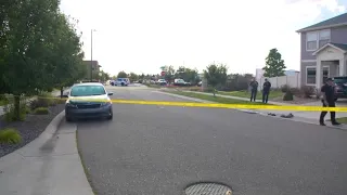 One dead after shooting in Green Valley Ranch neighborhood