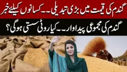 Wheat Price Change ? Important News For Farmers | Kya roti sasti Ho Gi? Pakistan News | Express News