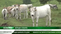ЗАРАДИ СУШАТА: Франция поема лихвите по кредитите на пострадалите фермери