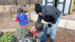 Общественные сады в парках города Роли