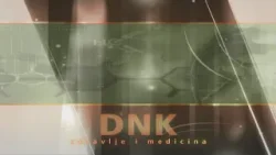 DNK - Pristina (27.02.2026.)