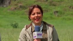 Veracruz Agropecuario - Importancia de la sombra en la ganadería bovina tropical